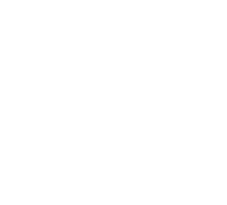 icon-white